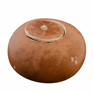 Contenedor de Calabaza